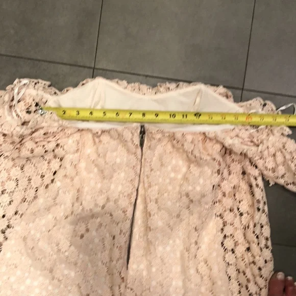 Telarosa Embroidered Mini Dress - Picture 6 of 10